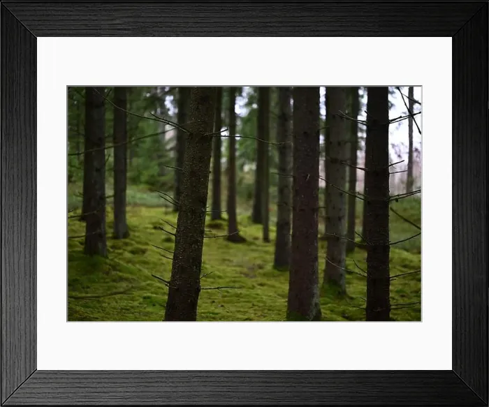 Framed Print : 2yhmk6r Framed Print : 2yhmk6r