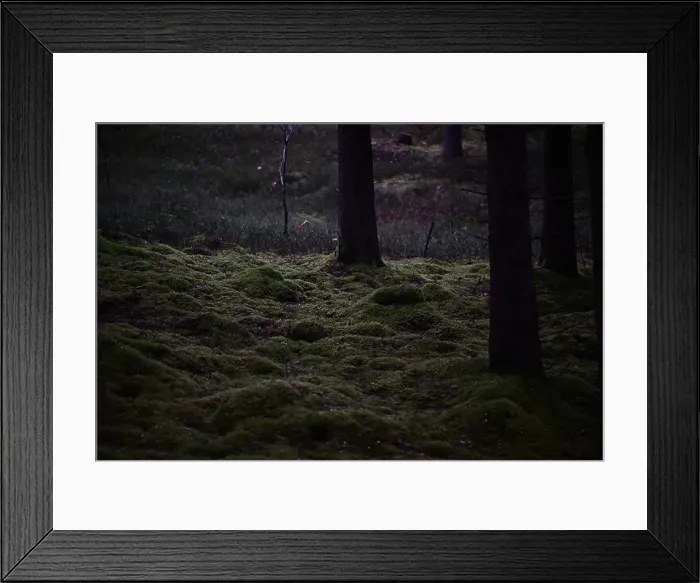 Framed Print : 2yhmk8r Framed Print : 2yhmk8r