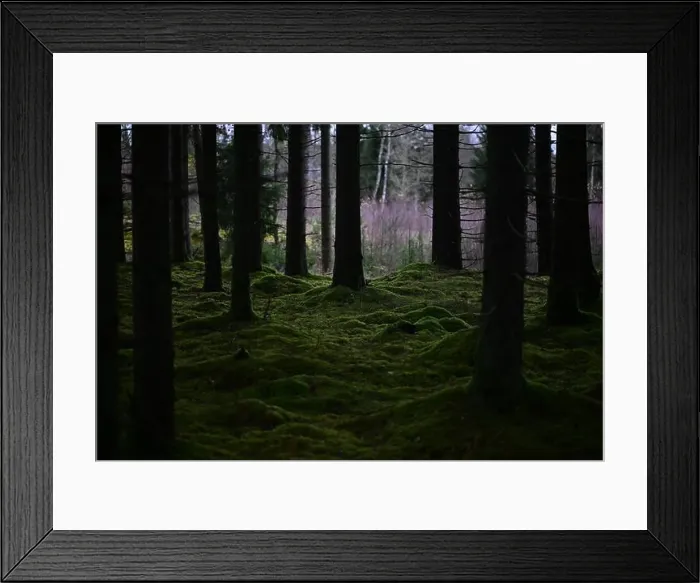Framed Print : 2yhmkm4 Framed Print : 2yhmkm4