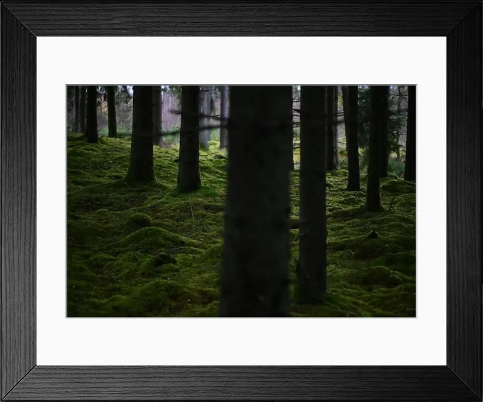 Framed Print : 2yhmkt1 Framed Print : 2yhmkt1