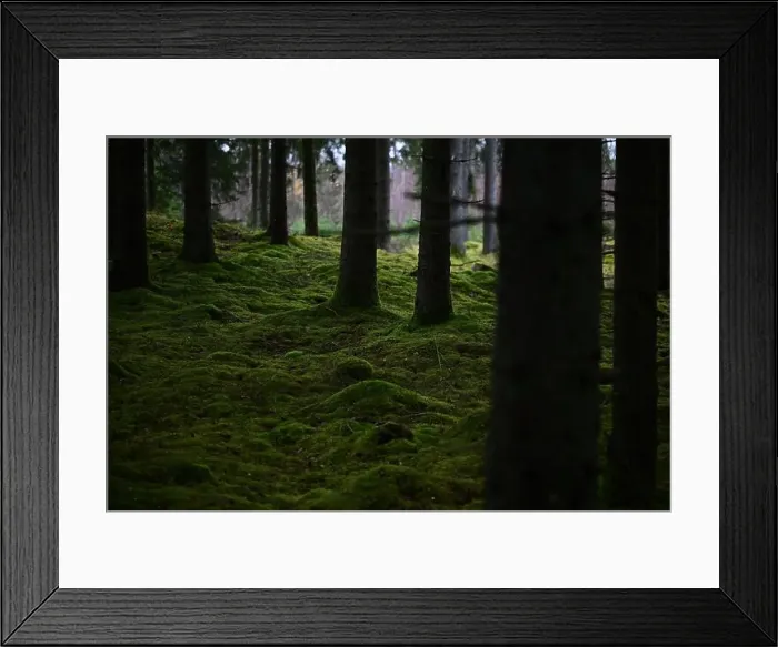 Framed Print : 2yhmmap Framed Print : 2yhmmap