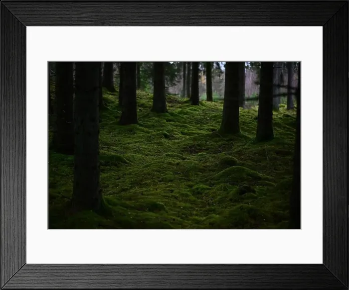 Framed Print : 2yhmmw3 Framed Print : 2yhmmw3