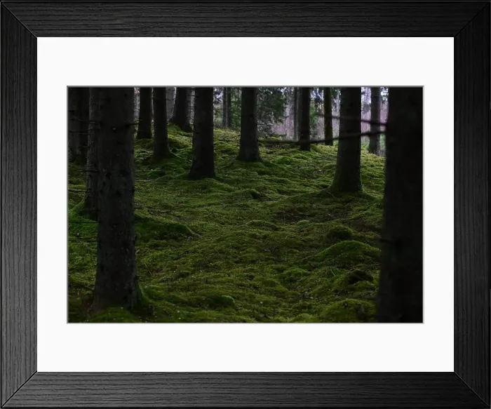 Framed Print : 2yhmna7 Framed Print : 2yhmna7