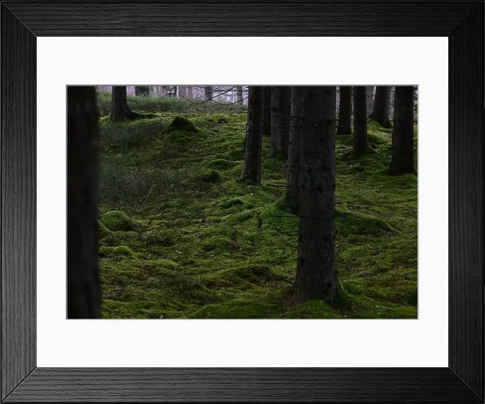 Framed Print : 2yhmntm Framed Print : 2yhmntm