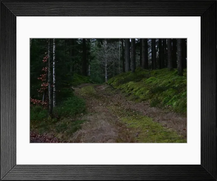 Framed Print : 2yhmpma Framed Print : 2yhmpma