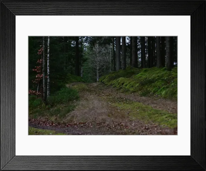 Framed Print : 2yhmr5b Framed Print : 2yhmr5b
