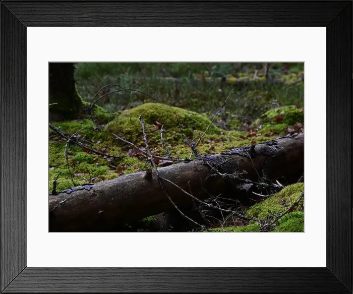 Framed Print : 2yhmrjx Framed Print : 2yhmrjx