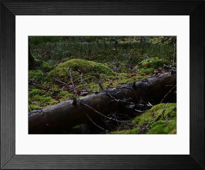 Framed Print : 2yhmtgp Framed Print : 2yhmtgp