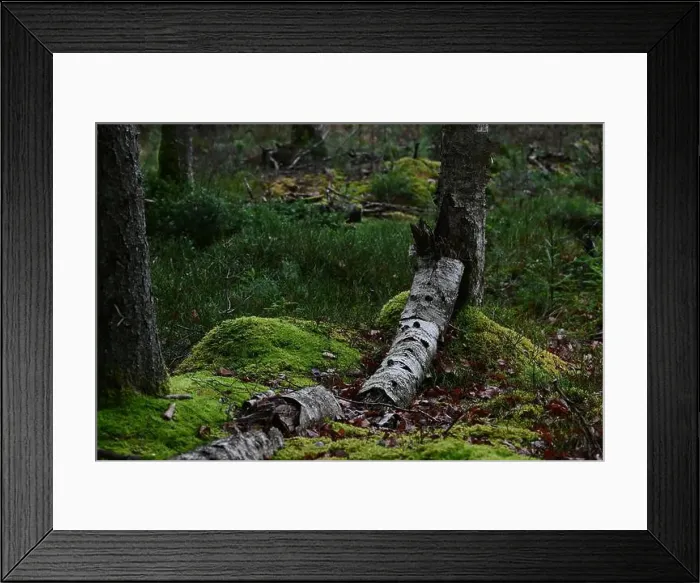 Framed Print : 2yhmwhx Framed Print : 2yhmwhx