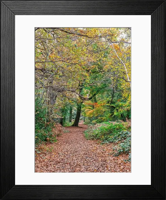 Framed Print : 2yhnd9m Framed Print : 2yhnd9m
