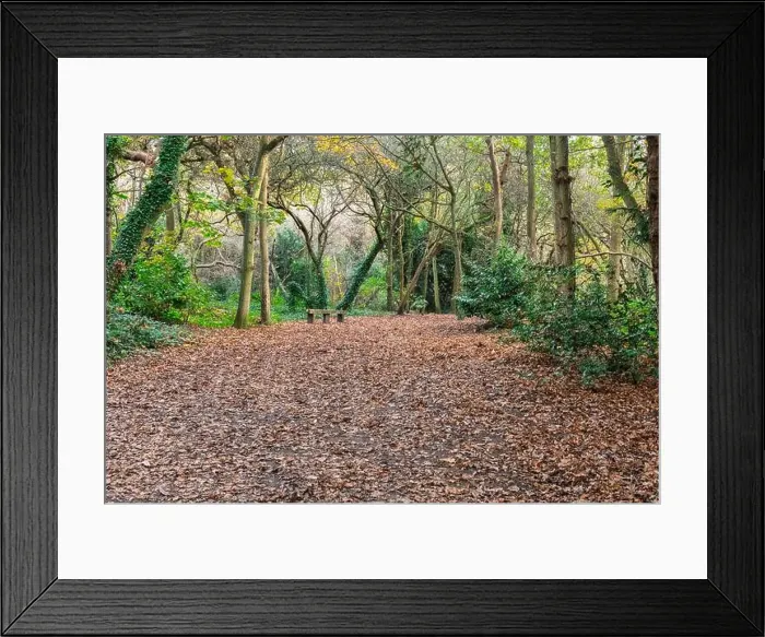 Framed Print : 2yhndab Framed Print : 2yhndab