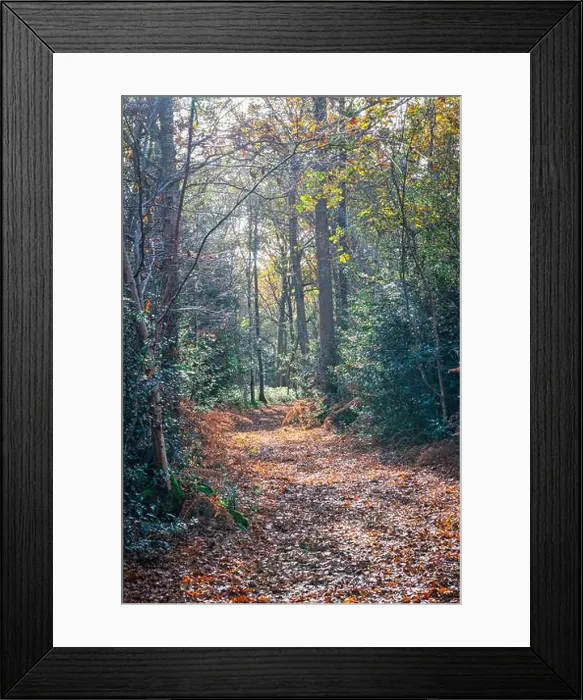 Framed Print : 2yhndn2 Framed Print : 2yhndn2