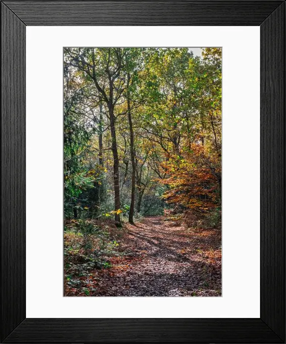 Framed Print : 2yhne34 Framed Print : 2yhne34