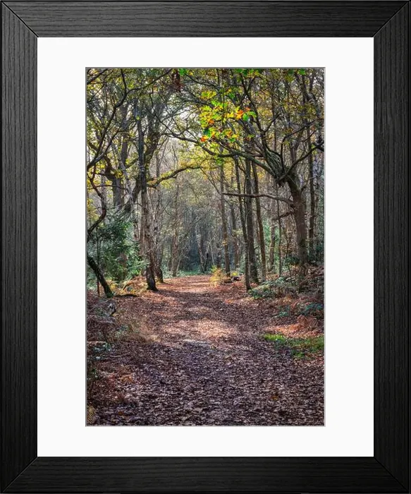 Framed Print : 2yhne3c Framed Print : 2yhne3c