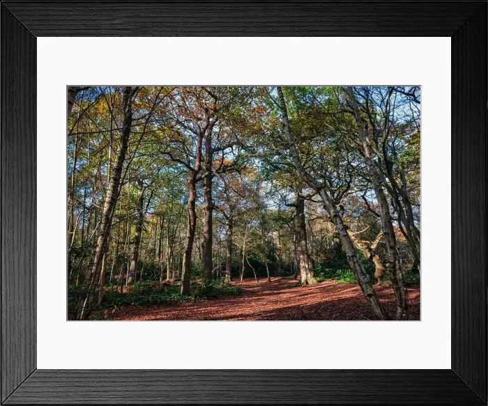 Framed Print : 2yhne75 Framed Print : 2yhne75