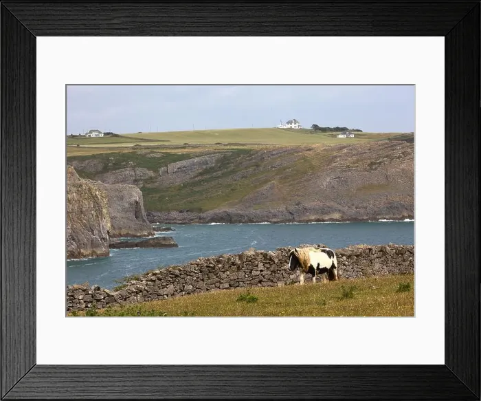 Framed Print : 2yhpce3 Framed Print : 2yhpce3
