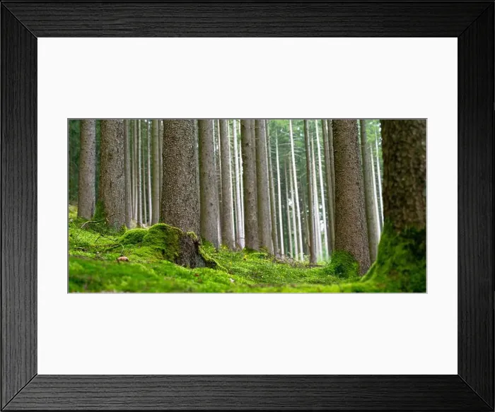 Framed Print : 2yj4yrx Framed Print : 2yj4yrx