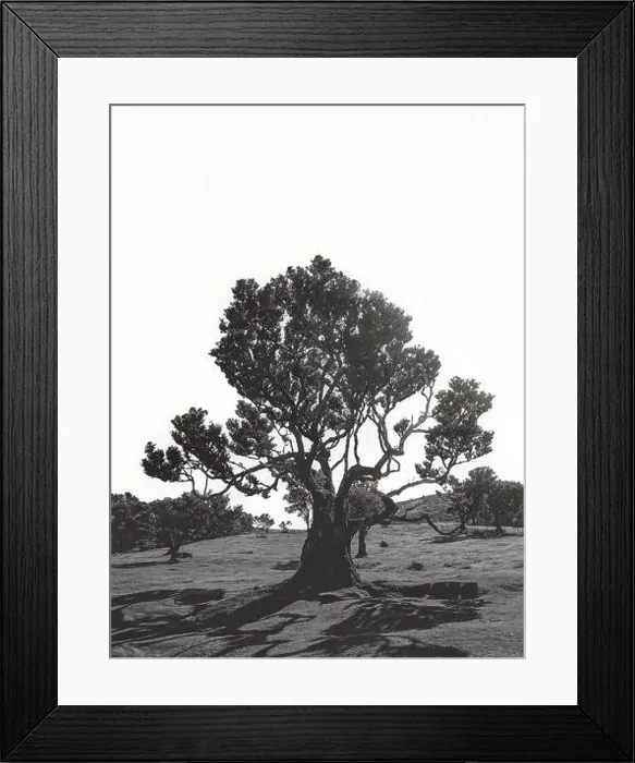 Framed Print : 2yj6h52 Framed Print : 2yj6h52