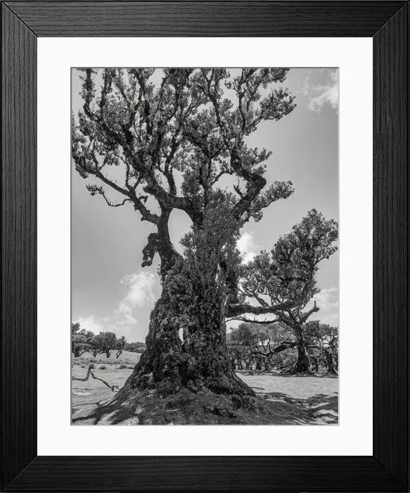Framed Print : 2yj6h60 Framed Print : 2yj6h60