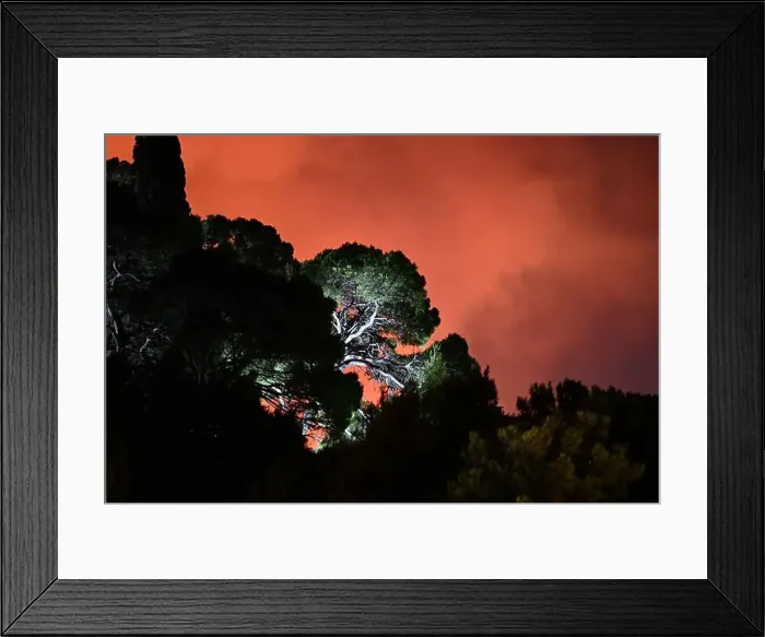 Framed Print : 2yjc8dh Framed Print : 2yjc8dh