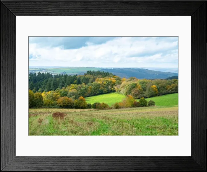 Framed Print : 2yjc8n2 Framed Print : 2yjc8n2