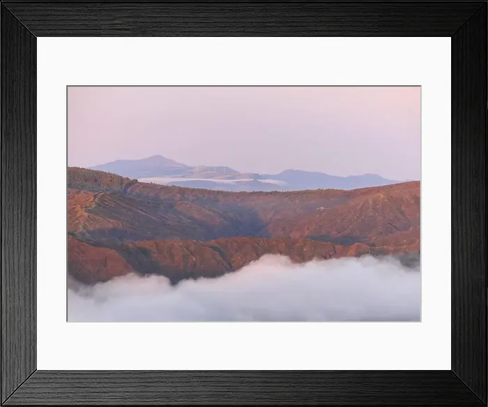 Framed Print : 2yje178 Framed Print : 2yje178