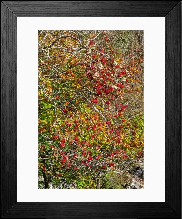 Framed Print : 2yjhm1d Framed Print : 2yjhm1d