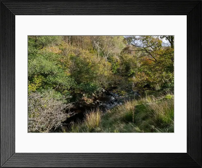 Framed Print : 2yjhmrn Framed Print : 2yjhmrn
