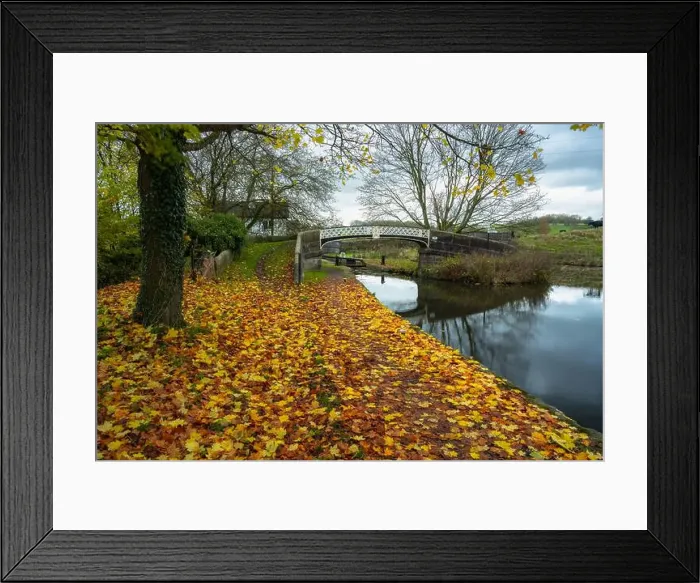 Framed Print : 2yjhygr Framed Print : 2yjhygr