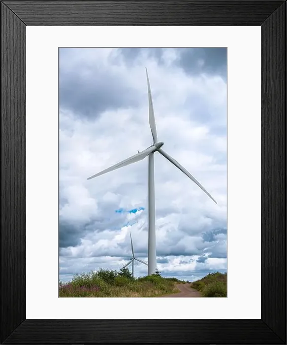 Framed Print : 2yjkrbb Framed Print : 2yjkrbb
