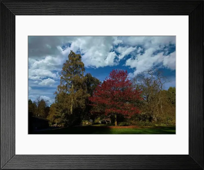 Framed Print : 2yjmd44 Framed Print : 2yjmd44