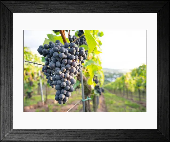 Framed Print : 2yjtc4k Framed Print : 2yjtc4k