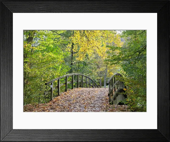 Framed Print : 2yjtcp1
