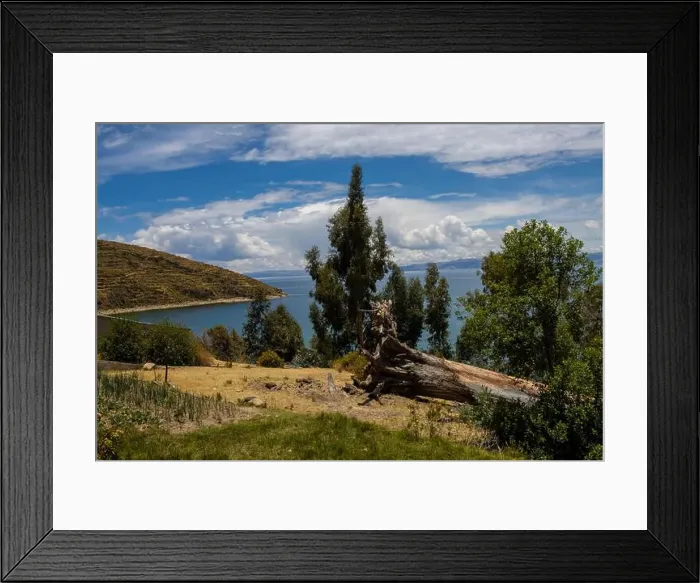 Framed Print : 2yjwfah Framed Print : 2yjwfah