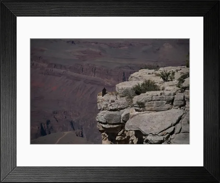 Framed Print : 2yjxtpa Framed Print : 2yjxtpa