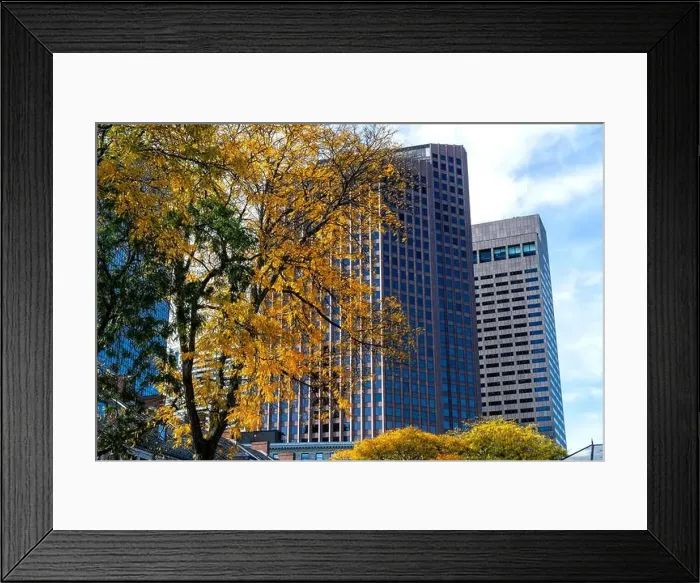 Framed Print : 2yk1rd0 Framed Print : 2yk1rd0