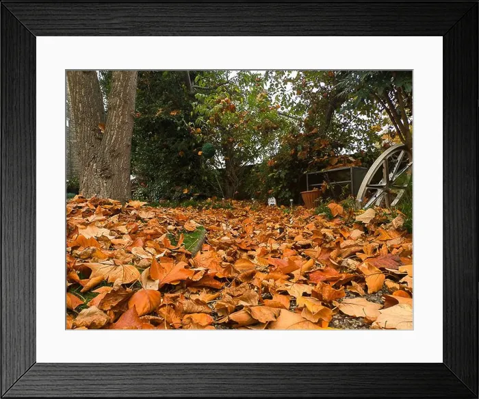 Framed Print : 2yk2gck Framed Print : 2yk2gck