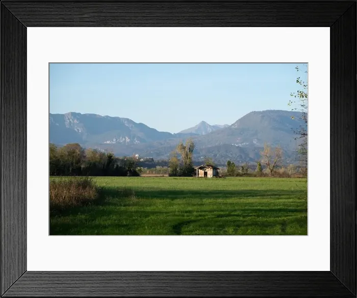 Framed Print : 2yk43yf Framed Print : 2yk43yf