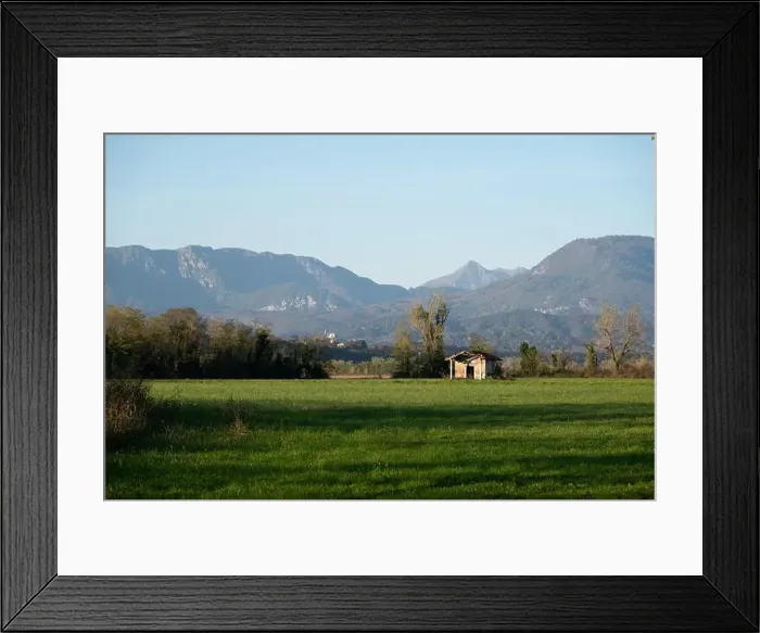 Framed Print : 2yk43yh Framed Print : 2yk43yh