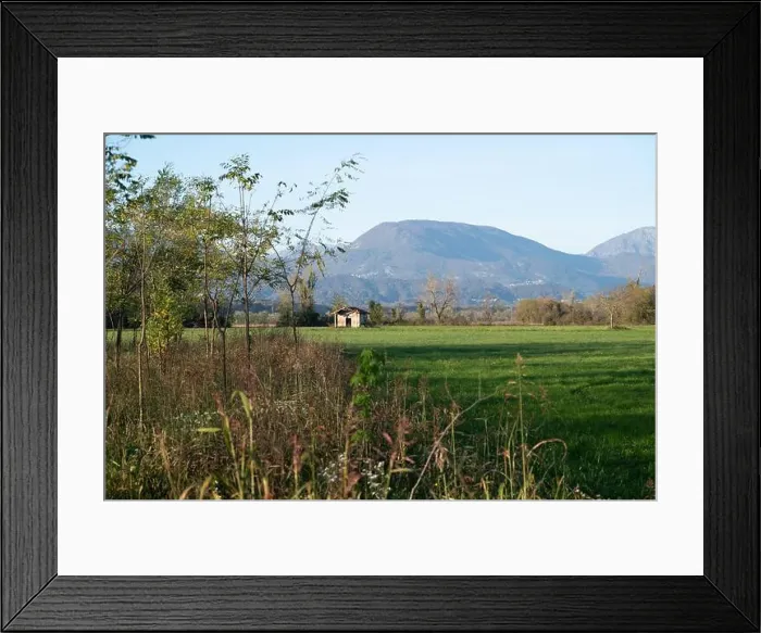 Framed Print : 2yk43yn Framed Print : 2yk43yn