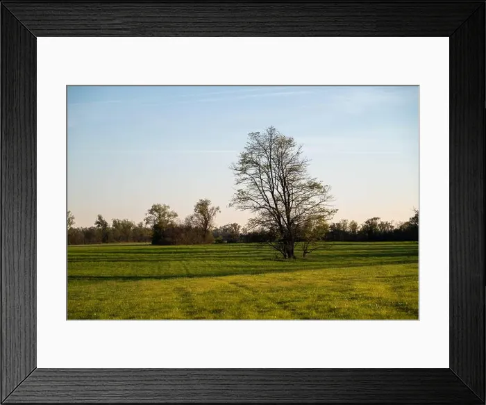 Framed Print : 2yk43yr Framed Print : 2yk43yr