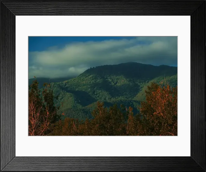 Framed Print : 2yket8p Framed Print : 2yket8p