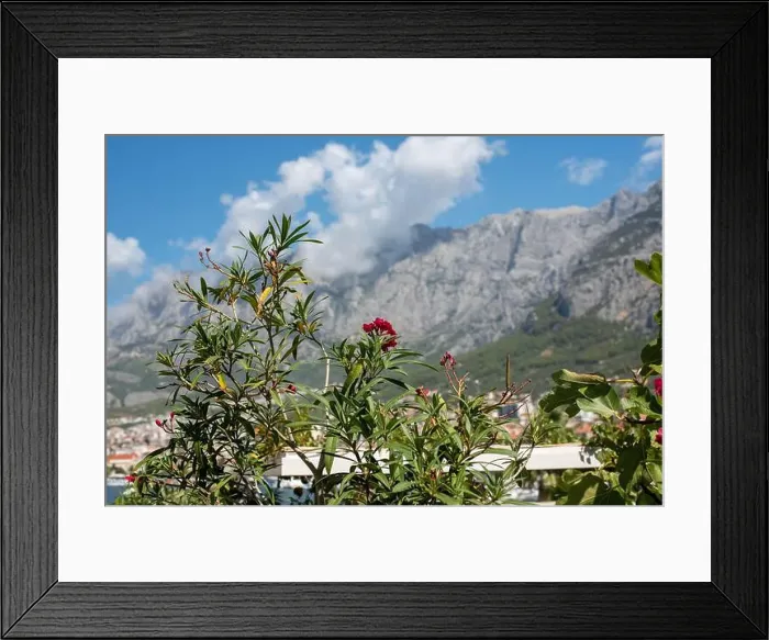 Framed Print : 2ykhhk4