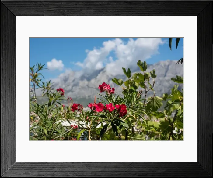 Framed Print : 2ykhhk6 Framed Print : 2ykhhk6