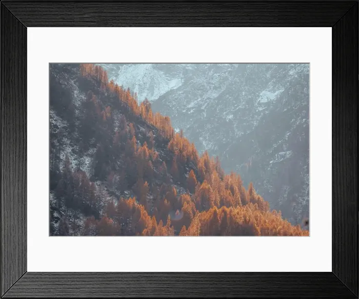 Framed Print : 2ykptdd Framed Print : 2ykptdd