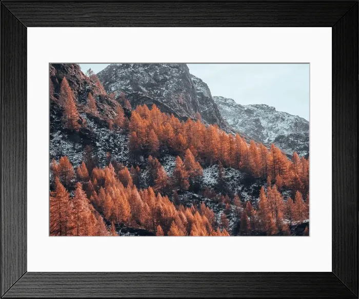 Framed Print : 2ykptdg