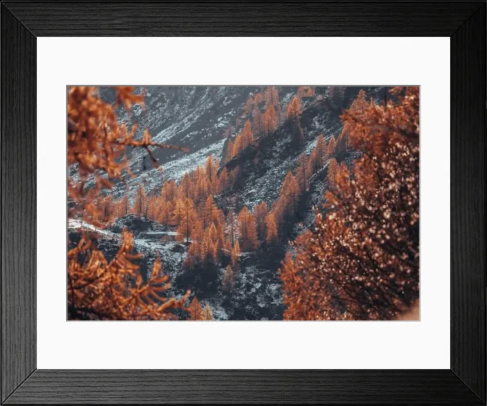 Framed Print : 2ykptdp Framed Print : 2ykptdp