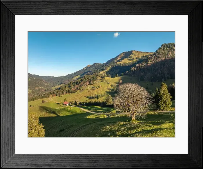 Framed Print : 2ykwdyg Framed Print : 2ykwdyg