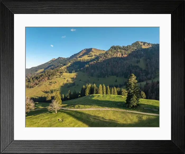 Framed Print : 2ykwdyr Framed Print : 2ykwdyr