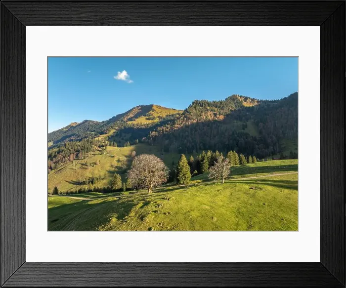 Framed Print : 2ykwe9x Framed Print : 2ykwe9x